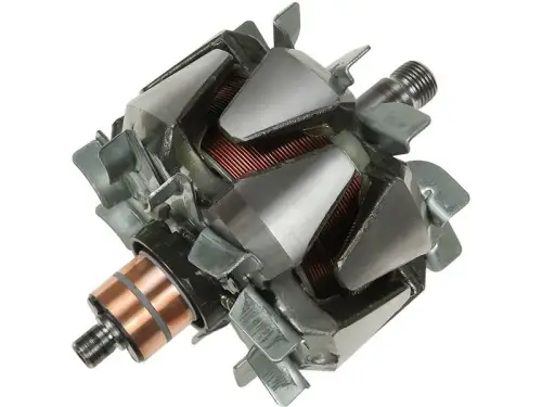 Rotor, alternator