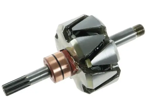 Rotor, alternator