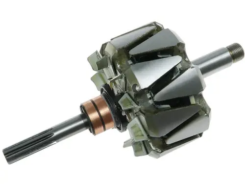 Rotor, alternator