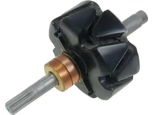 Rotor, alternator