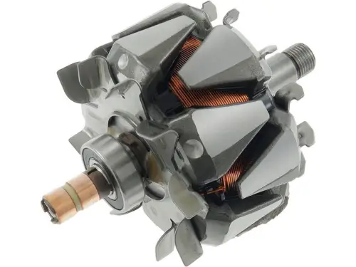 Rotor, alternator