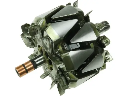 Rotor, alternator