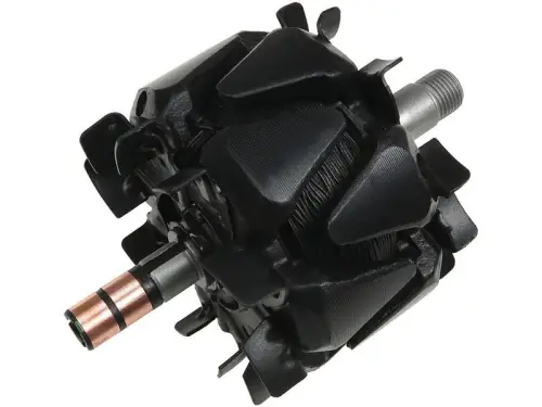 Rotor, alternator