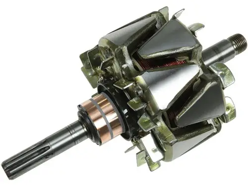 Rotor, alternator