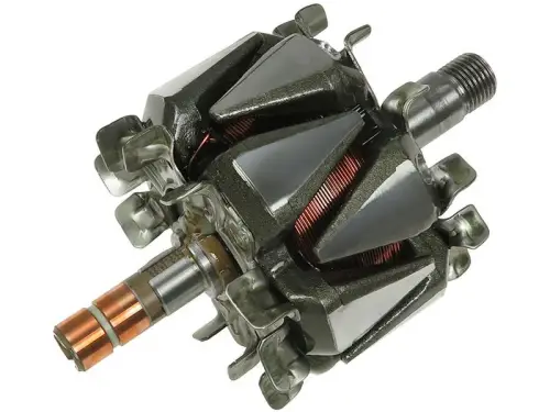 Rotor, alternator