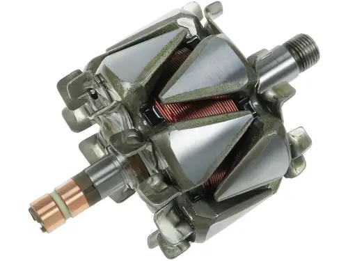 Rotor, alternator