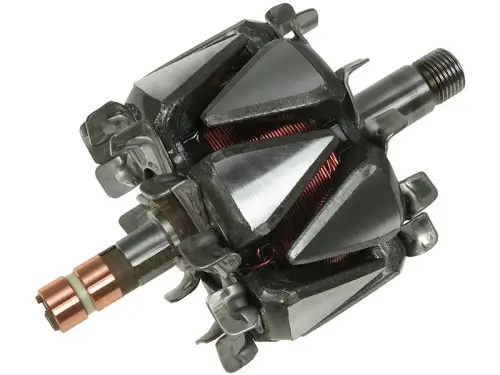 Rotor, alternator