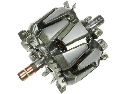 Rotor, alternator