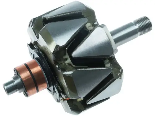 Rotor, alternator
