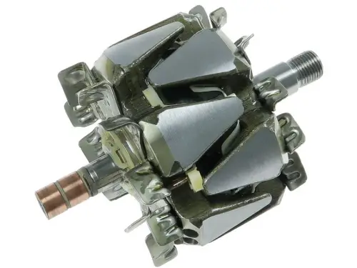 Rotor, alternator