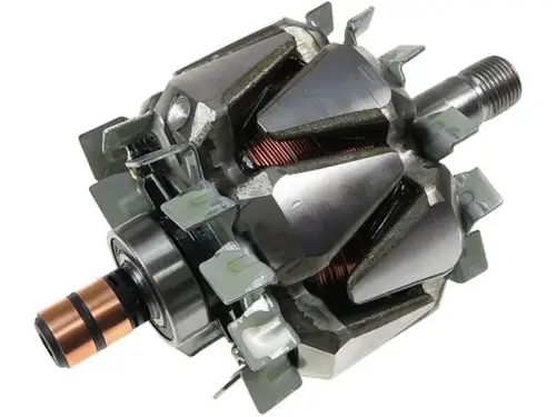 Rotor, alternator