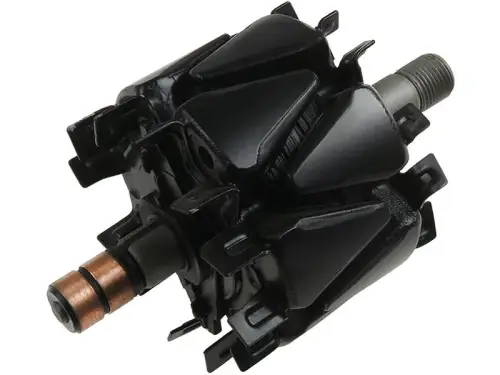 Rotor, alternator