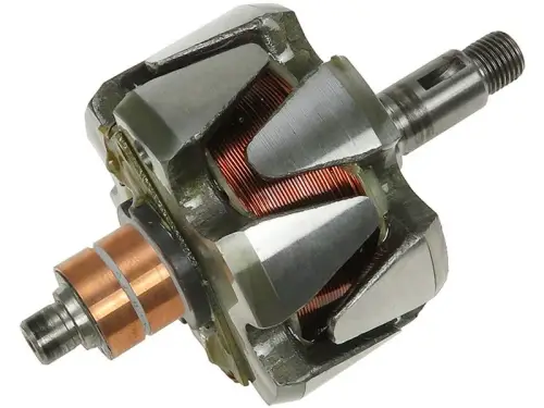 Rotor, alternator