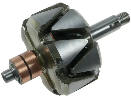 Rotor, alternator
