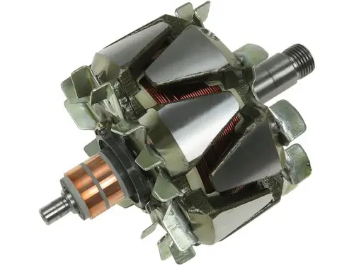 Rotor, alternator