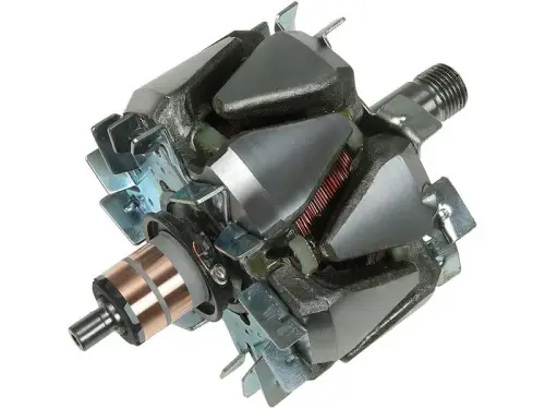 Rotor, alternator