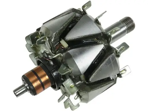 Rotor, alternator