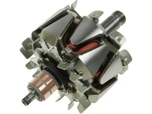 Rotor, alternator