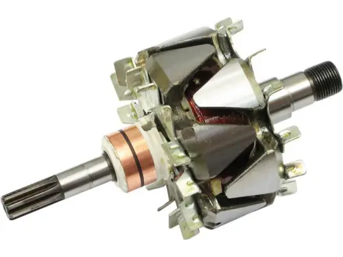 Rotor, alternator