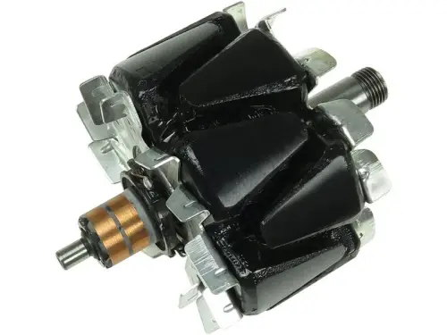 Rotor, alternator