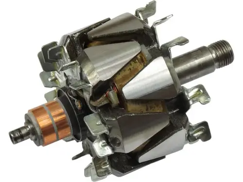 Rotor, alternator