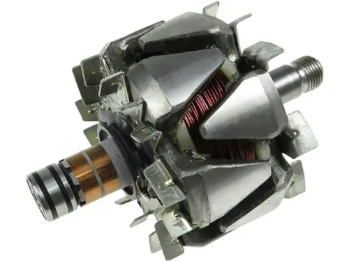 Rotor, alternator