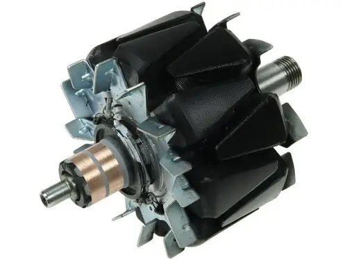 Rotor, alternator
