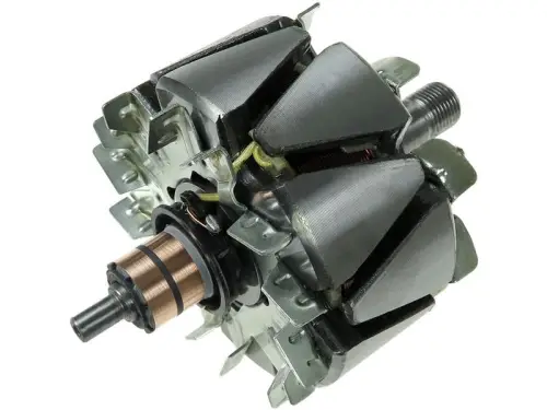 Rotor, alternator