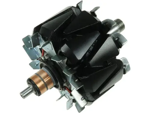 Rotor, alternator