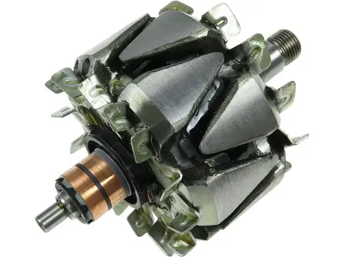Rotor, alternator