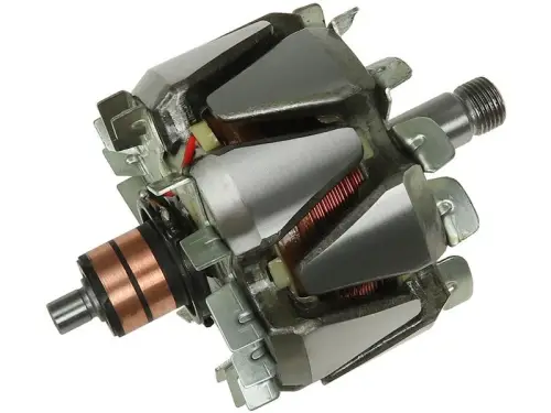 Rotor, alternator