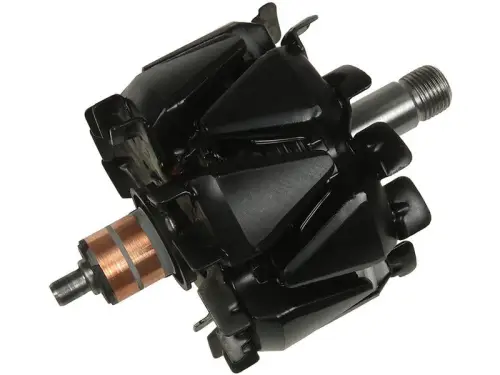 Rotor, alternator