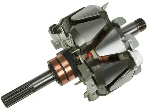 Rotor, alternator
