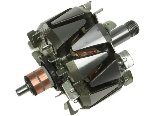 Rotor, alternator
