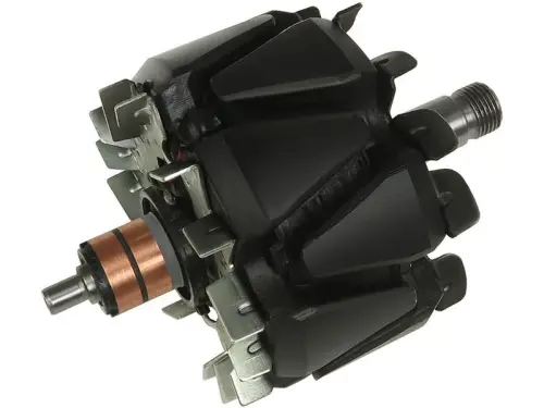 Rotor, alternator