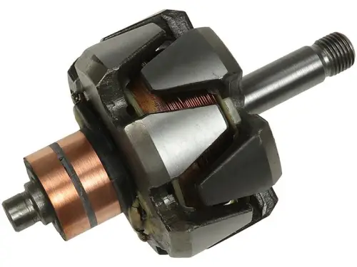 Rotor, alternator