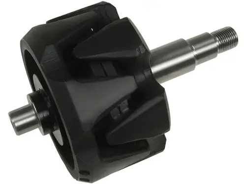 Rotor, alternator