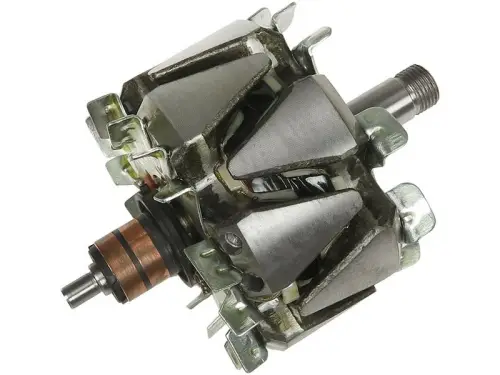 Rotor, alternator