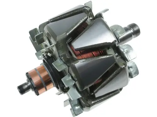 Rotor, alternator