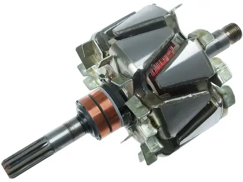 Rotor, alternator