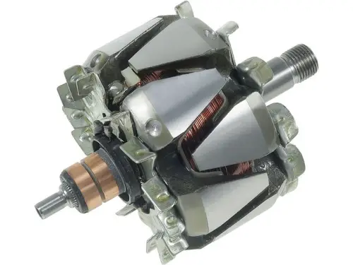 Rotor, alternator