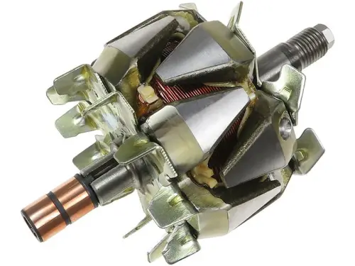 Rotor, alternator
