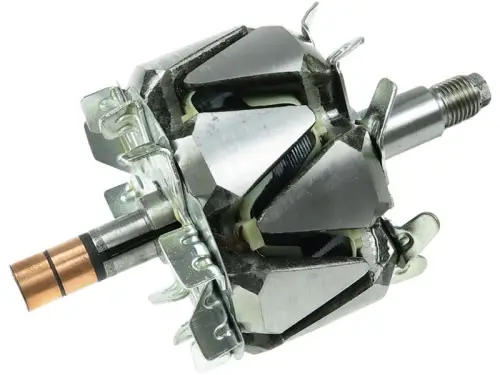 Rotor, alternator