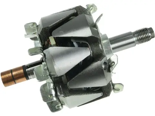 Rotor, alternator
