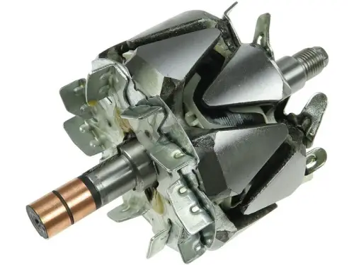 Rotor, alternator
