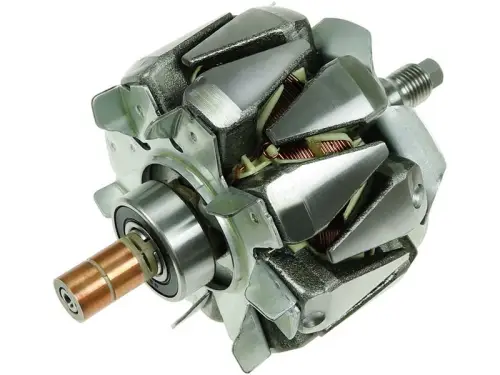 Rotor, alternator