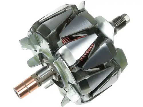Rotor, alternator