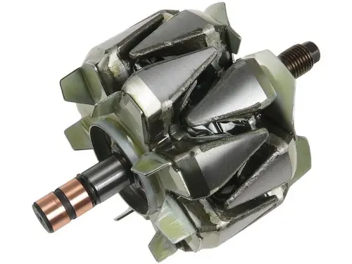 Rotor, alternator