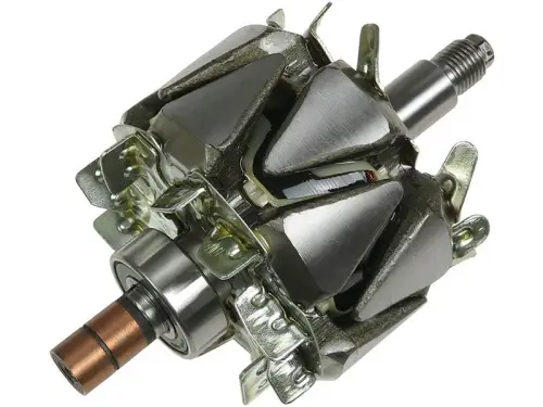 Rotor, alternator