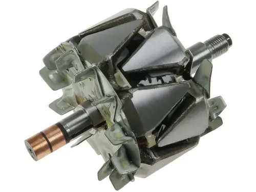 Rotor, alternator